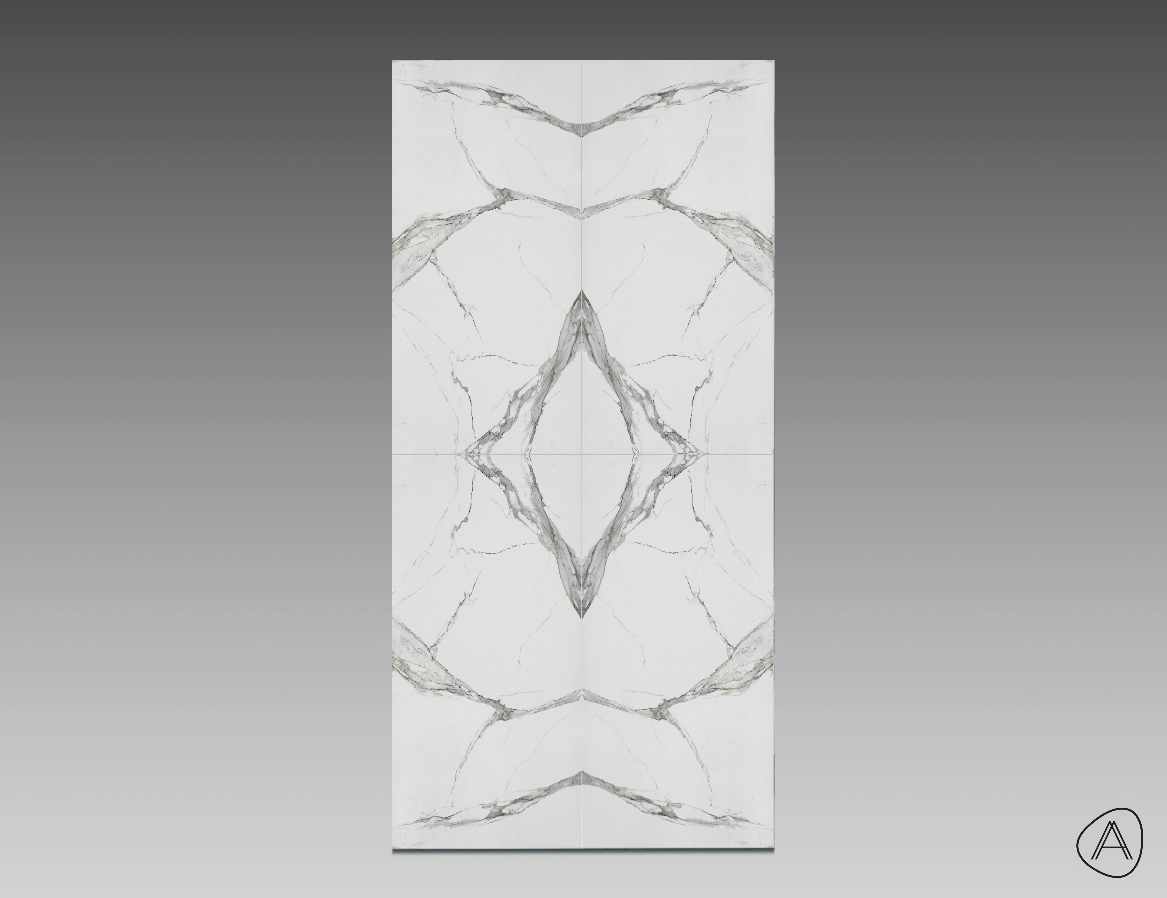 Calacatta Extra Tech Satin  T01   M+A   4L.jpg